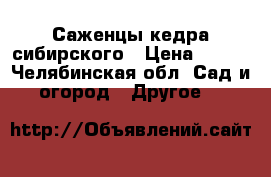 Саженцы кедра сибирского › Цена ­ 100 - Челябинская обл. Сад и огород » Другое   